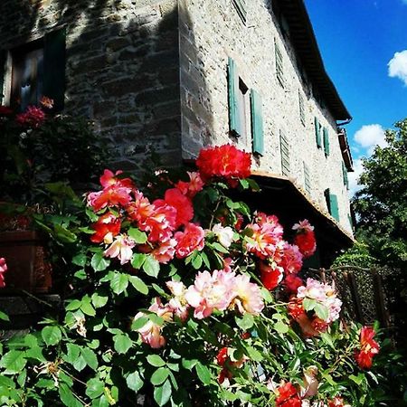 Podere I Rovai-Apt Il Rifugio- In The Heart Of Tuscany Reggello Exteriör bild