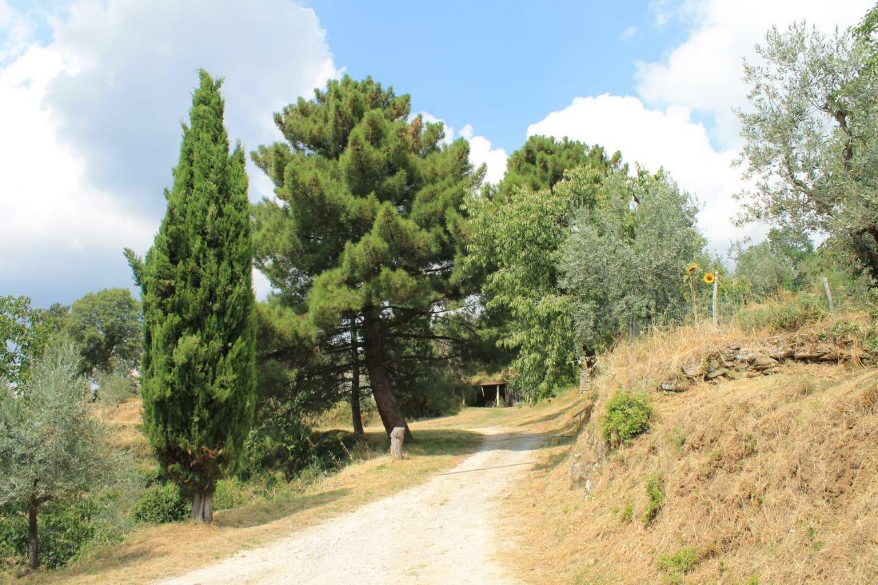 Podere I Rovai-Apt Il Rifugio- In The Heart Of Tuscany Reggello Exteriör bild