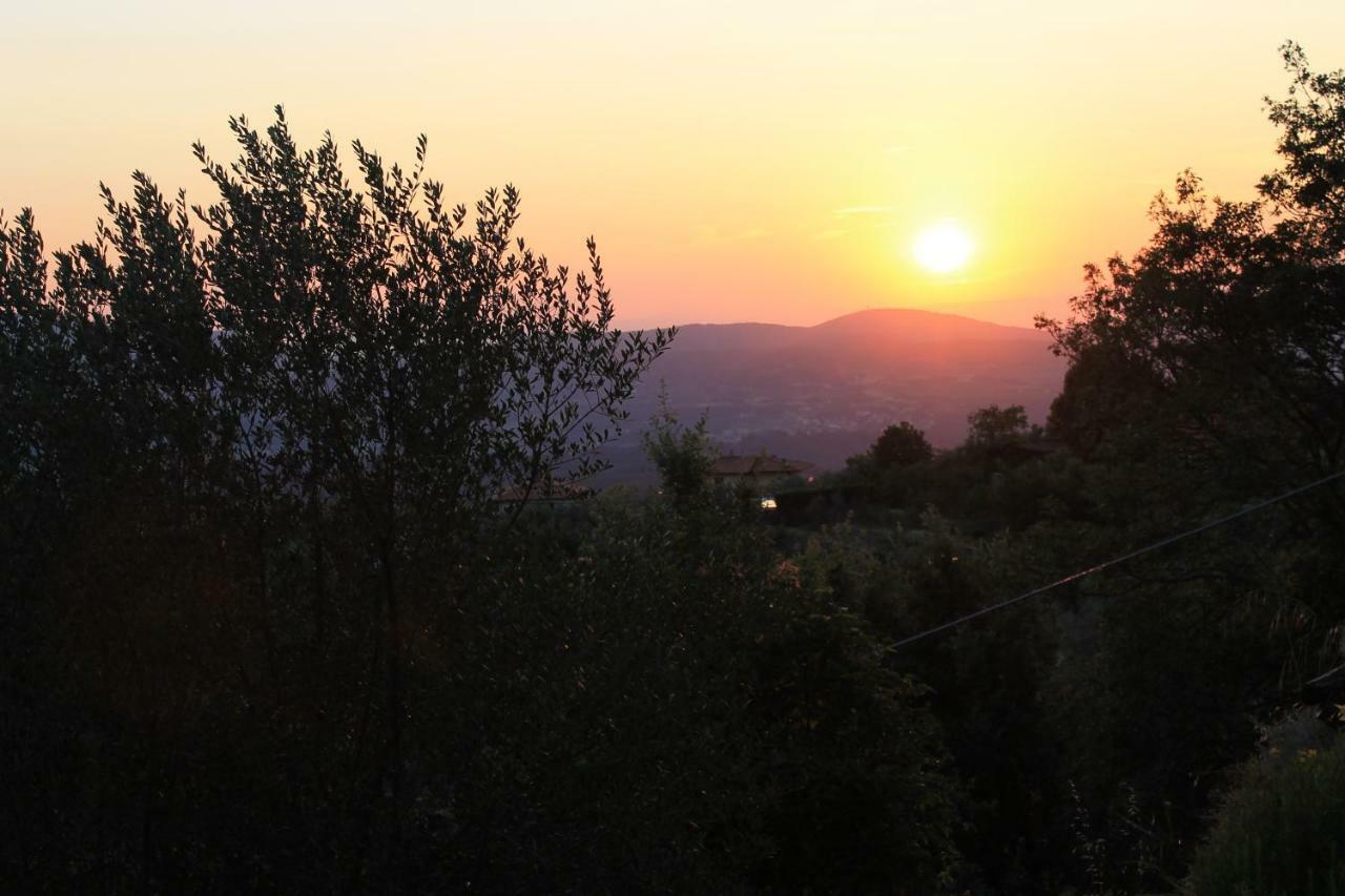 Podere I Rovai-Apt Il Rifugio- In The Heart Of Tuscany Reggello Exteriör bild